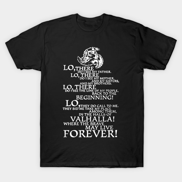 Viking Shirt T-Shirt by DesignShirt